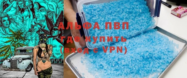 прущие грибы Кулебаки